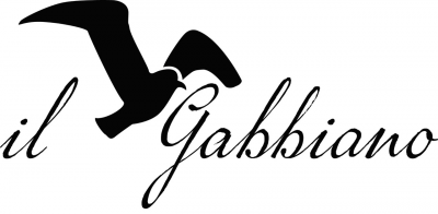 Il Gabbiano